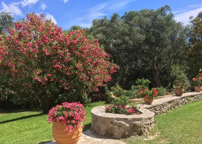 Candela Vila Evropouloi