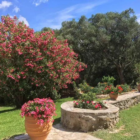 Candela Willa Evropouloi